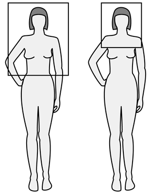 上三分身 1年生の解剖学辞典wiki