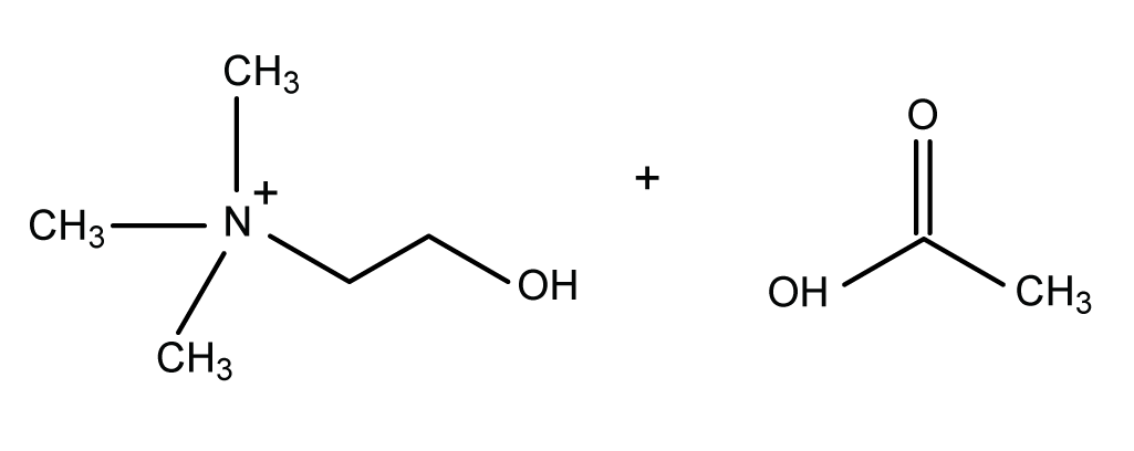 アセチルコリンがコリンと酢酸に分解したところ