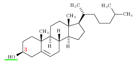 コレステロールの分子構造
